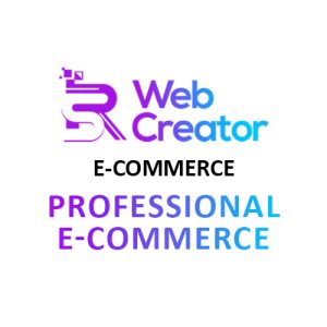Professional E-Commerce